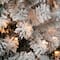 6ft. Pre-Lit Acacia Flocked Artificial Christmas Tree, Clear Lights